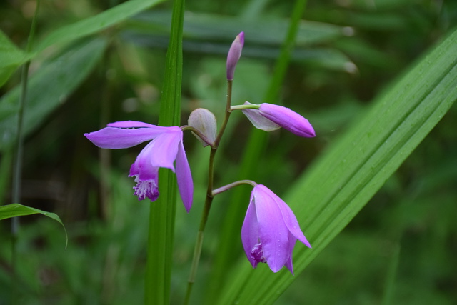 DSC_0391.JPG