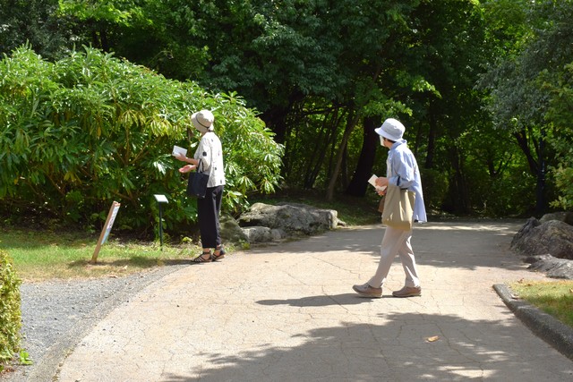 DSC_0388(ブログ用9).JPG