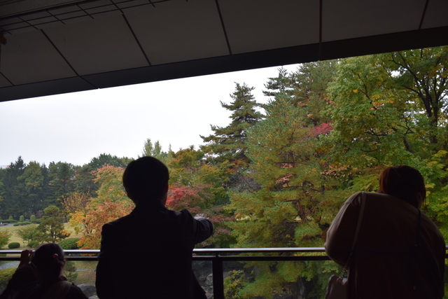 DSC_0496.JPG