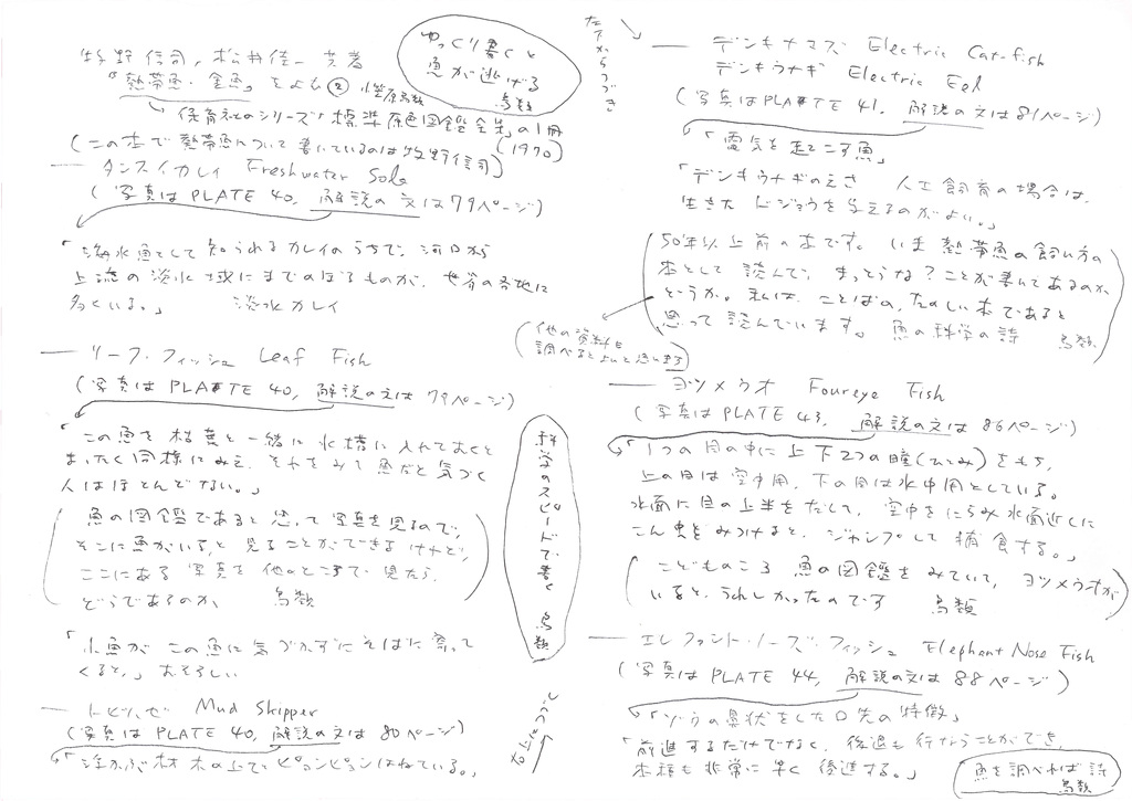 詩8_小笠原鳥類_2.jpg