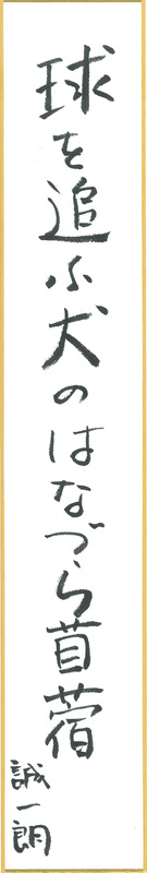 俳句3_椋 誠一朗.jpg