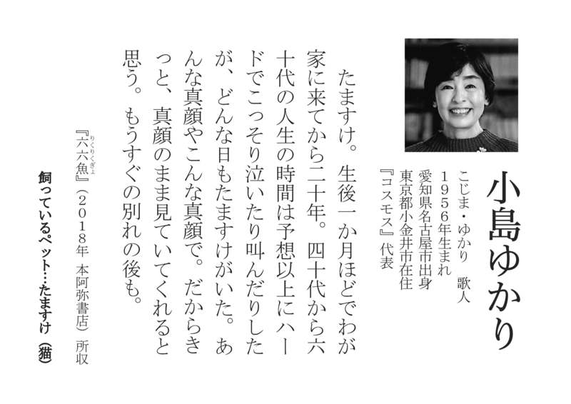 キャプション (32).jpg