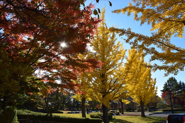 DSC_0016.JPG